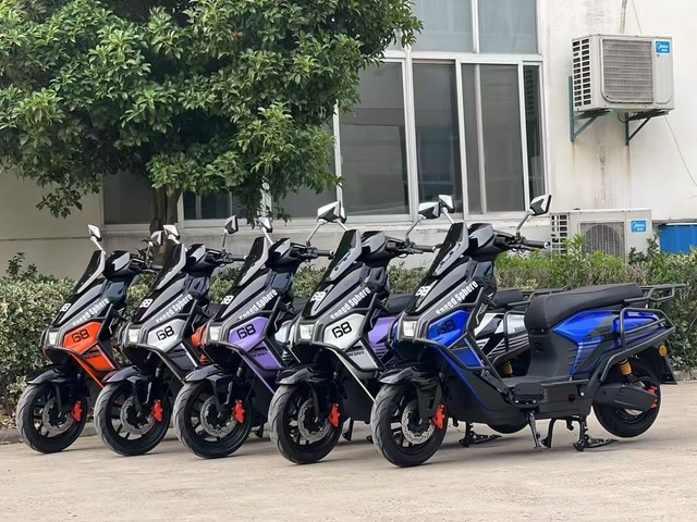 2025 Customizable 1000W Motor Electric Scooter 10 Inch Tire 45km/h Top Speed 60km Range 150kg Removable Lithium Waterproof
