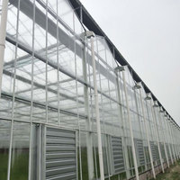 Serre en verre haut de gamme de grande taille avec panneaux isolants trempés, système d'automatisation horticole pour légumes, structure multi-chapelles