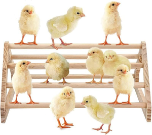 Legno pulcino palo in legno gallo piccolo animale Bar di addestramento di pollo Stand-per animali domestici gabbie di pollo - Product Image 5