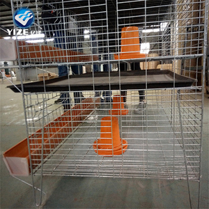 Gà đẻ trứng Lồng/tre gà <span class=keywords><strong>Coop</strong></span> Chick lồng - Product Image 2