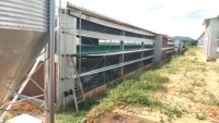 Cage à poulets de type H pour poules pondeuses, cage pour volailles, élevage avicole