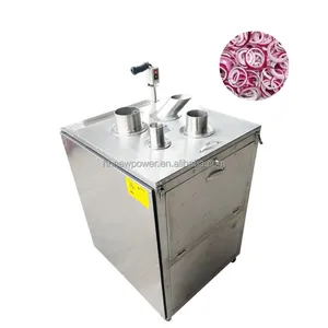 Automatic stainless steel fruit Turnips Apple slicer cutter making Machine apple chips eggplant cutting slicing machine