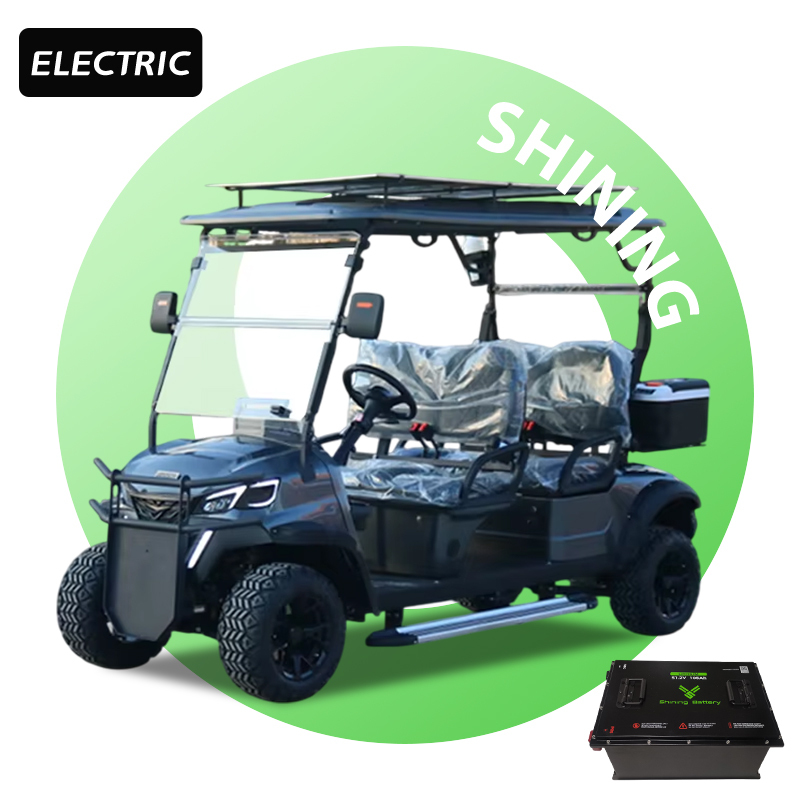 Shininglsv Luxury 4 Seater Electric Golf