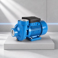 Nouvelle Arrivée 1.5DK20 Pompe à Eau Centrifuge à Usage Domestique Conception Ultra Silencieuse pour Système de Surpression d'Eau Maison/Jardin