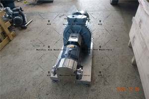 Chine Fournisseur industriel Pompe à lobes de transfert de peinture à engrenages en acier électrique pour produits chimiques - Product Image 3