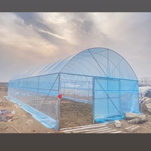 <span class=keywords><strong>Serre</strong></span> tunnel polyvalente à simple travée, personnalisable, économique, pour <span class=keywords><strong>poulailler</strong></span> et agriculture de tomates - Product Image 1