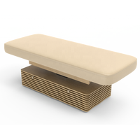 Table de massage et de spa réglable CNF-C Ness Beauty Salon avec 2 tiroirs pour utilisation dans le salon