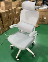 Chaise de bureau ergonomique moderne pivotante avec support lombaire en maille, chaises de bureau de luxe réglables, personnalisation de l'ameublement