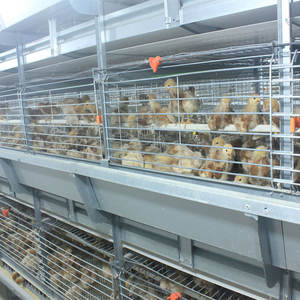 Allevamento di pollame zincato Brooder Brooder Egg posa gabbia a strati di pollo in vendita - Product Image 2