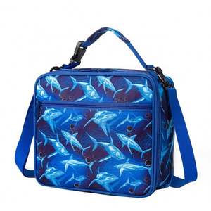 Sac à lunch isolé pour enfants avec porte-bouteille thermique pique-nique école préparation repas refroidisseur de nourriture mode espace dinosaure Design - Product Image 1