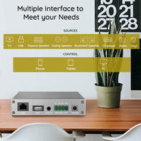 A30+ 30W X 2 WiFi Mini Stereo Amplifikatör Kablolu Hoparlörler için Kompakt Gümüş Amplifikatör.
