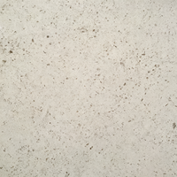 Dalle de marbre beige portugais naturel de qualité supérieure, idéale pour les portes de hall d'hôtel et de villa de style moderne et poli