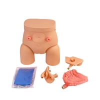 Modelo de demostración de entrenamiento de cateterismo masculino y femenino de entrenamiento médico-Ideal para Educación de enfermería