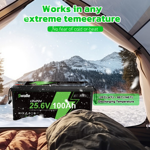 Batteries lithium-ion à décharge profonde 24 Volts 100Ah rechargeables LiFePO4 pour stockage d'énergie domestique, pack de batteries 25.6V 100Ah, stock UE - Product Image 4