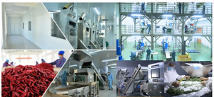 <span class=keywords><strong>Pimienta</strong></span> <span class=keywords><strong>Negra</strong></span> de Alta Calidad, Sabor Natural, Mejor Precio, Especias y Hierbas Individuales, Cruda, Seca, Liofilizada, ZZH 50kg, Natural con Descuento - Product Image 5