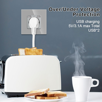 Prise murale européenne Bingoelec 16A Allemagne avec double port USB A+A 2.1A EU