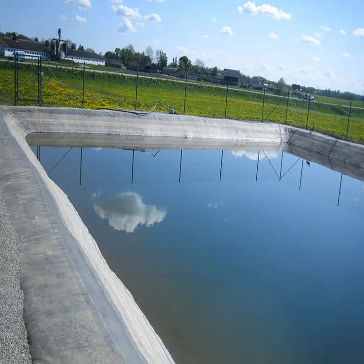 Vendita calda HDPE Membrana per Biogas Biodigester Lagoon Fodera