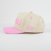 Gepersonaliseerde unisex baseballcaps van 100% katoen met handgestikte argyle- en fruitmotieven, verstelbare pasvorm