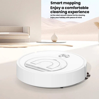 Robot de nettoyage, aspirateur et serpillière robot, robot de nettoyage domestique pour un nettoyage automatique intelligent des sols et des soins ménagers