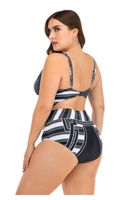 Maillot de bain grande taille personnalisé L-4XL maillot de bain pour femme maillot de bain deux pièces bikini taille haute maillot de bain pour femmes