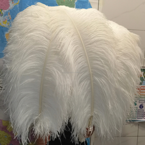 Plumas de Avestruz Blancas Grandes de Alta Calidad de 70-75 cm (28-30 Pulgadas) Teñidas para Fiestas, Carnaval, Bodas, Decoración y Manualidades al por Mayor - Product Image 1