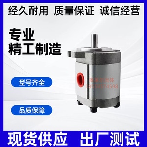 P204 High Pressure Gear <b>Pump</b> 350 <b>Bar</b> 1 Stage Hydraulic Oil <b>Pump</b> For Industrial Use - Product Image 2