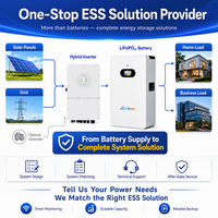 Batterie de stockage d'énergie domestique LiFePO4 5 kWh 51,2 V, pack de batteries solaires murales pour système d'alimentation de secours et onduleur hybride