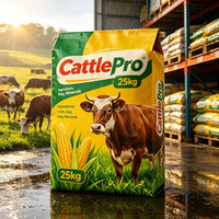 Sac en papier kraft multicouche résistant à la déchirure, anti-moisissure, biodégradable et écologique, directement de l'usine