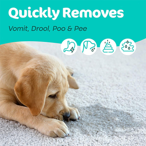 Bio-Enzymatic Dog Cat <strong>Pet</strong> Odour and Stain <strong>Remover</strong> Stale Air <strong>Pet</strong> Urine Food Vomit Odors Eliminator Spray - Product Image 2
