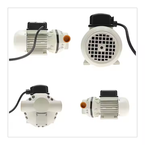 Pompe à membrane électrique haute pression OEM personnalisable Pompe de transfert d'urée Carburant diesel Corrosion Résistant aux acides et aux alcalis - Product Image 5