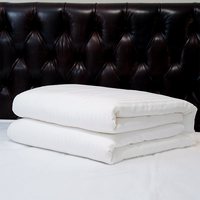 Usine en gros soie été couette luxe respirant 100% soie de mûrier remplissage soie couette couverture