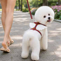 Harnais pour chien de type gilet en polyester MLLX MY1111 Wings Series avec ailes d'ange pour chiens de petite/moyenne/grande taille - laisse de promenade