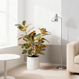 ต้นยางพาราปลอมหลากสีคุณภาพสูงสำหรับตกแต่งภายในบ้าน ขายส่ง - Product Image 3