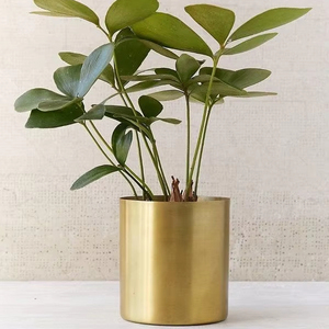 Elegant Metal Planter Gold Plated For Living Room <b>Corner</b> <b>Plant</b> Decoration With Wholesale Price - Product Image 1