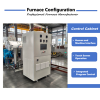 Equipo Industrial de Sinterización a Alta Temperatura, Película de Electrodo Conductiva a Base de Carbono, Horno de Carbonización al Vacío de 1000~1600 Grados