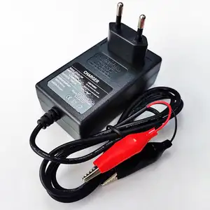 24W Cargadores Adaptadores 10,8 V 10,95 V 2A AU/EU/UK/US Cargador de pared para 3S 9V 9,6 V LiFePO4 Cargador de batería