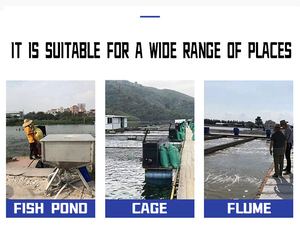 Công Nghiệp Cá Trang Trại Tự Động Cá Trung Chuyển Ao Trong Nuôi Trồng Thủy Sản/Tuần Hoàn Hồ Bơi Hệ Thống Nước Tự Động Cá Trung Chuyển - Product Image 4