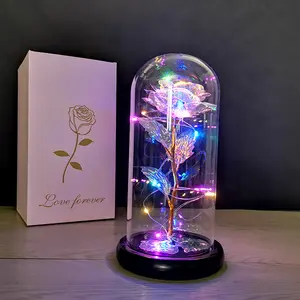 هدايا عيد الحب الاصطناعي وردة ذهبية رقائق الذهب عيار 24 وردة في قبة زجاجية مع أضواء