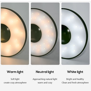 Rechargeable Mushroom <b>LED</b> Table Lamp Built-in Lithium Battery Wireless Bedside Night <b>Light</b> For Bedroom <b>Bar</b> Desktop Decor - Product Image 5