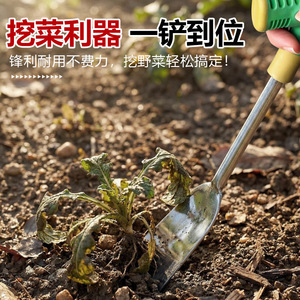 Petite pelle de jardin en fer polyvalente à trois sections pour la plantation et le désherbage de ciboulette sauvage, d'ail, de légumes et de fleurs - Product Image 2