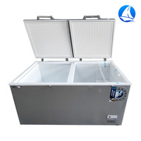 Congélateur coffre horizontal commercial à double porte pour supermarché, refroidissement par air, sans givre