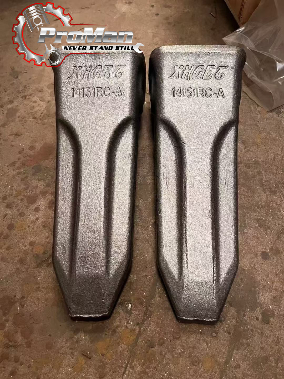法螺貝 約37㎝ 木製歌口 赤紐付　新品　 MH-411 法螺貝 約34.5㎝ 木製歌口,赤紐付新品 MH-419