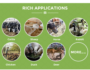 6-<strong>14ft</strong> Round Tube Galvanized Steel Fencing Farm <strong>Gate</strong> Rural Breeding Livestock Main Door Ranch Entrance <strong>Gates</strong> for Cattle Cow - Product Image 5
