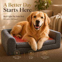 Canapé-lit pour animaux de compagnie avec thérapie par lumière rouge pour chiens, soulagement de la douleur, 660nm 850nm, contrôleur filaire, fournisseur OEM ODM, marque privée pour usage domestique et commercial