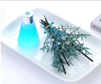 Diffuseur d'arômes pour intérieur, désodorisant pour toilettes et assainisseur d'air, parfum en verre pour salle de bain et chambre à coucher, parfum d'intérieur amélioré