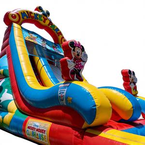 Tobogán Acuático Inflable Temático, Material de PVC Ecológico, para Niños, Equipo de Juego de Aventura, Grado Comercial - Product Image 6