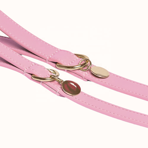 Konfor hissediyorum kolu özel renk turuncu pembe deri Pet kurşun yaka Set lüks el yapımı zanaat yüksek kaliteli deri köpek tasma - Product Image 2