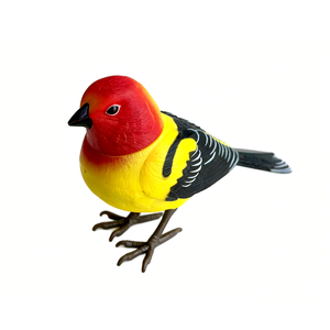 Juguete con Forma de Pájaro con Sonido por Inducción y Música, Tocar para Activar Llamadas y Melodías Realistas de Pájaros, Divertido y Educativo, Gran Venta - Product Image 3