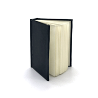 Carnet de notes mini en cuir PP rigide, couleur personnalisée, haute qualité, impression créative, portable, pour l'école