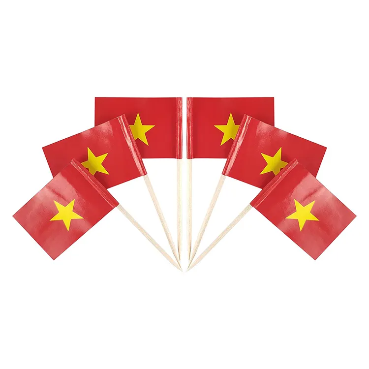 New Custom 100pc Vietnam Toothpick Flag And Different Countries Small Mini Stick Cupcake Topper Decorated